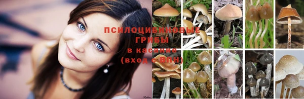 марихуана Медногорск